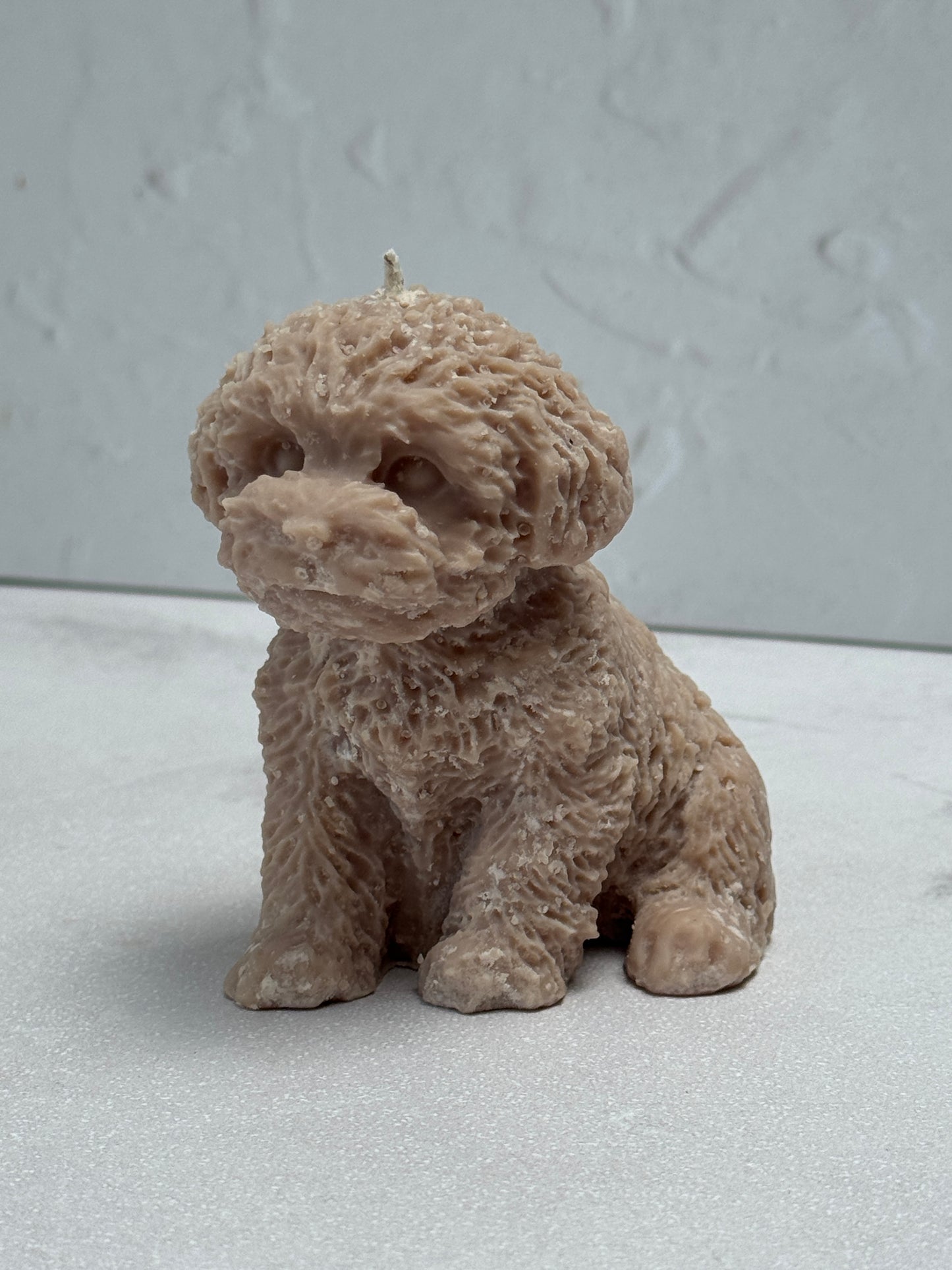 Puppy Candle