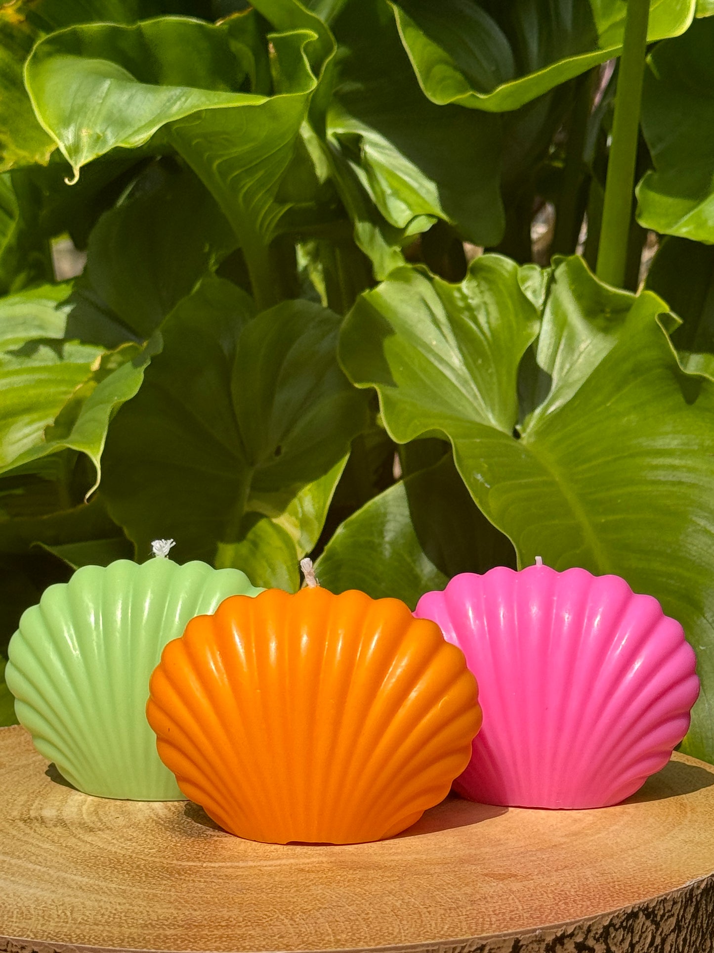 Trio Concha Candles