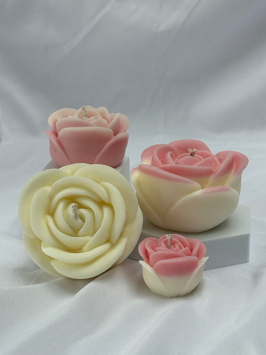 Valentines Day Collection